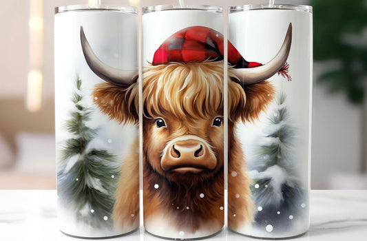 Winter Highland Cow